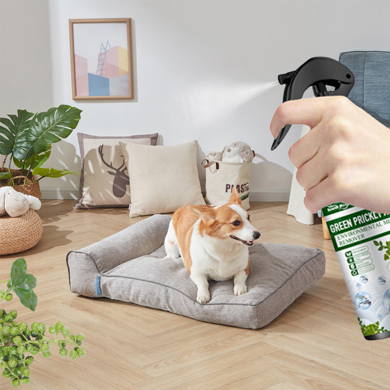 ⌛Limited Sale 50% OFF🔥Powerful Mite Remover Spray