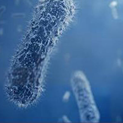 Active Manganese Formaldehyde Removal Tablets