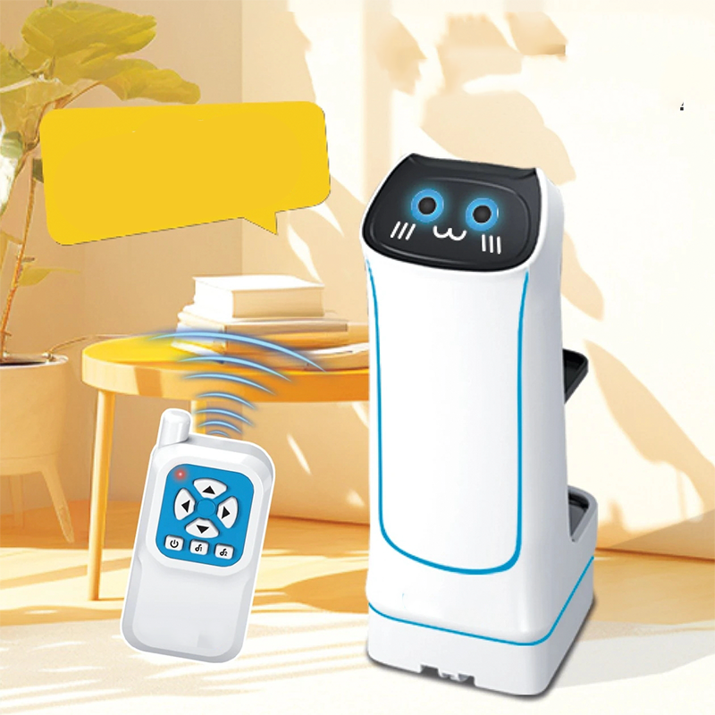 Children's Remote Control Delivery Robot