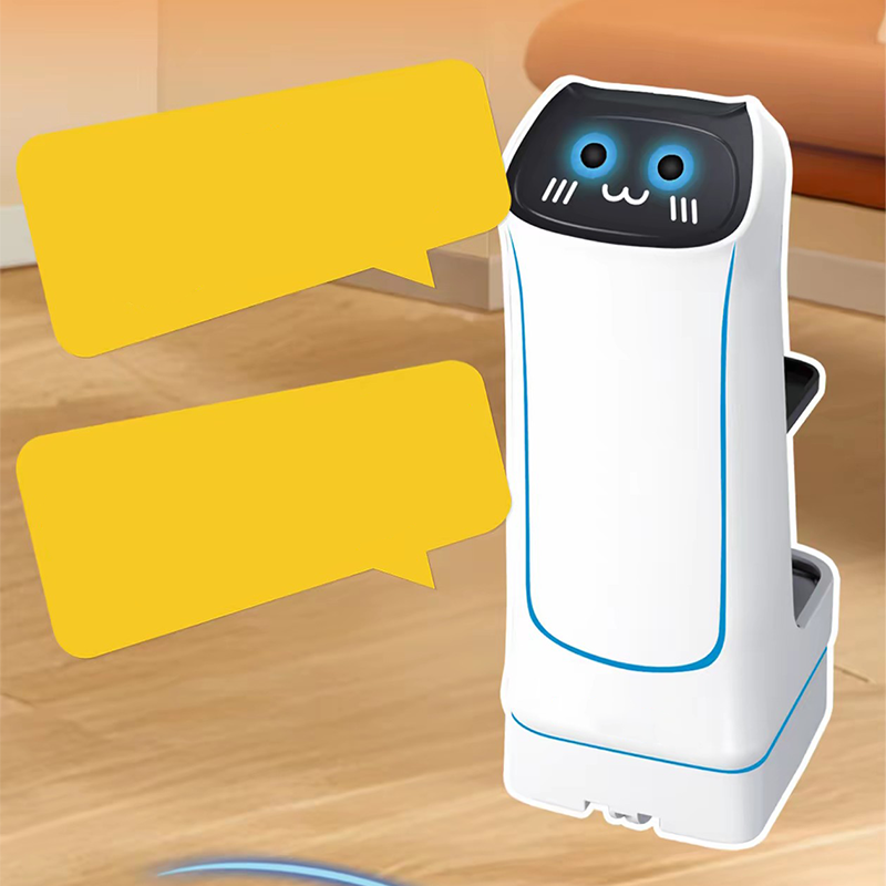 Children's Remote Control Delivery Robot