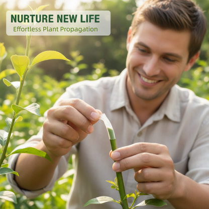 🛠️ Buy 2 Get 1 Free! ✨ 50pcs Silicone Grafting Sleeves – Flexible, Durable & Promotes Fruit Tree Healing 🌳✨