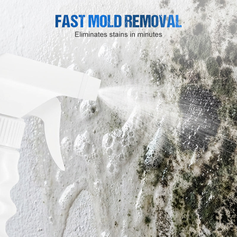 500ml Wall Mold & Mildew Remover Spray