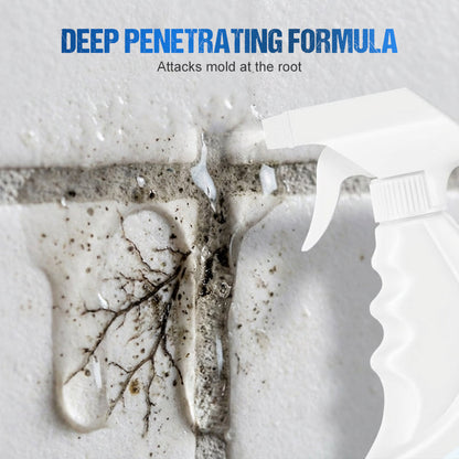 500ml Wall Mold & Mildew Remover Spray