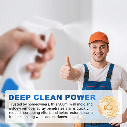 500ml Wall Mold & Mildew Remover Spray