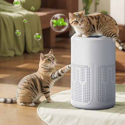 🥳2026 HOT SALE🔇 50% OFF! Silent Air Purifier – Multi‑layer filtration, ultra‑quiet sleep mode. Covers 30‑50m², one‑touch operation. Breathe clean, rest easy. No more sneezing at night! 🛌✨