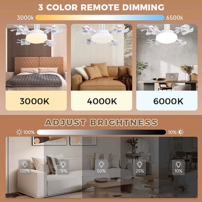 🎁Hot sale 50% OFF✨Remote-Controlled LED Ceiling Fan Light