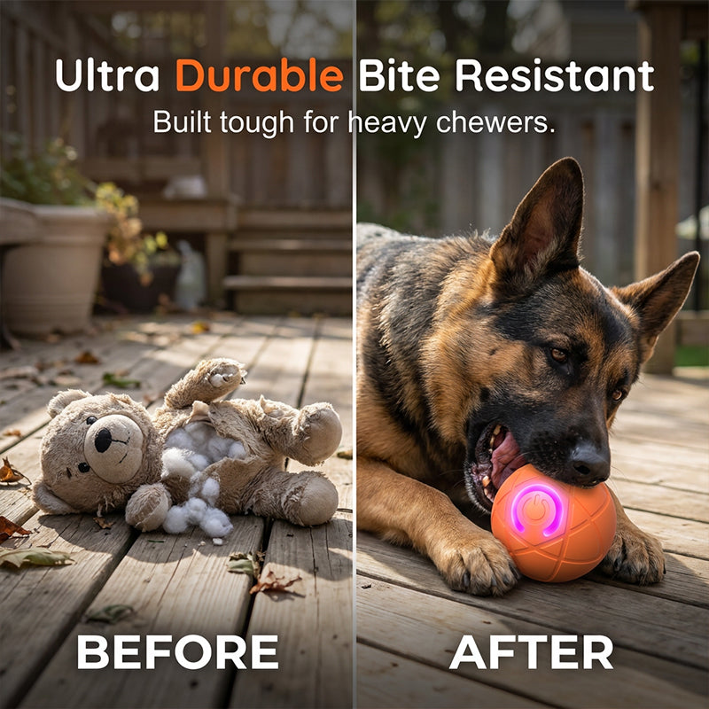 🏆Flash Sale⚡50K+ SOLD! Almost Gone-💥🐾 AUTO-BOUNCING SMART PET BALL WITH REMOTE CONTROL— 3 Interactive Modes | Chew-Resistant E-TPU | USB-C Rechargeable 🎾