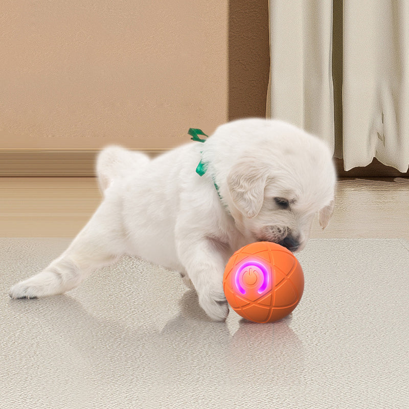 🏆Flash Sale⚡50K+ SOLD! Almost Gone-💥🐾 AUTO-BOUNCING SMART PET BALL WITH REMOTE CONTROL— 3 Interactive Modes | Chew-Resistant E-TPU | USB-C Rechargeable 🎾