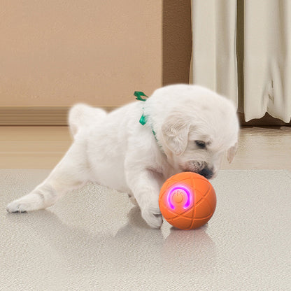 🏆Flash Sale⚡50K+ SOLD! Almost Gone-💥🐾 AUTO-BOUNCING SMART PET BALL WITH REMOTE CONTROL— 3 Interactive Modes | Chew-Resistant E-TPU | USB-C Rechargeable 🎾