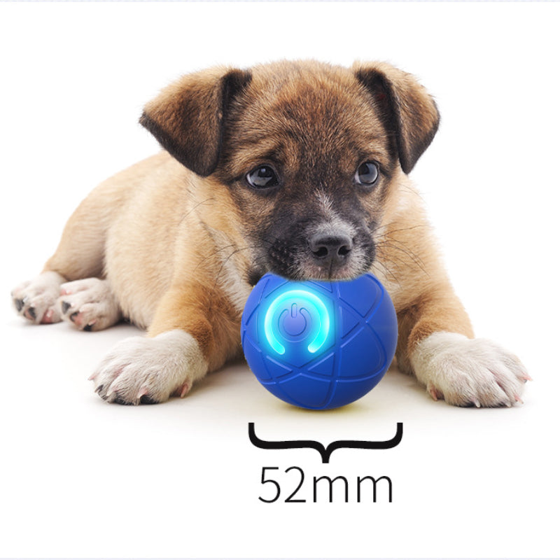 🏆Flash Sale⚡50K+ SOLD! Almost Gone-💥🐾 AUTO-BOUNCING SMART PET BALL WITH REMOTE CONTROL— 3 Interactive Modes | Chew-Resistant E-TPU | USB-C Rechargeable 🎾