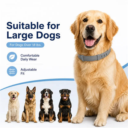 🔥Hot Sale 49% Off🔥Adjustable Flea & Tick Collars for Dogs & Cats