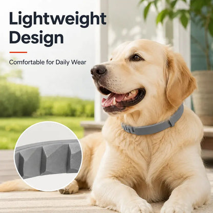 🔥Hot Sale 49% Off🔥Adjustable Flea & Tick Collars for Dogs & Cats