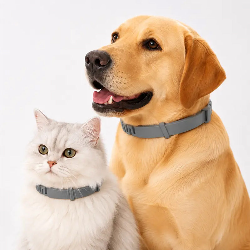 🔥Hot Sale 49% Off🔥Adjustable Flea & Tick Collars for Dogs & Cats