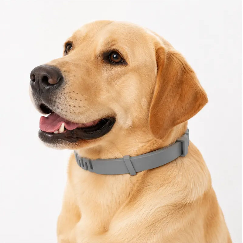🔥Hot Sale 49% Off🔥Adjustable Flea & Tick Collars for Dogs & Cats