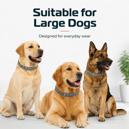 🔥Hot Sale 49% Off🔥Adjustable Flea & Tick Collars for Dogs & Cats