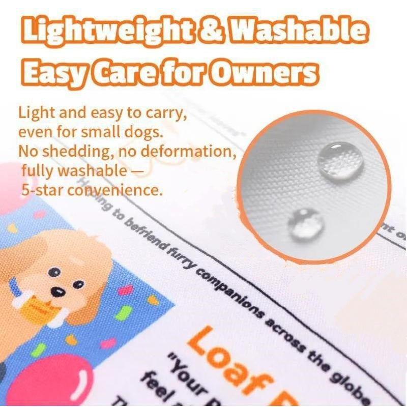 🥳2026 HOT SALE🥳💞Durable Newspaper Dog Chew Toy
