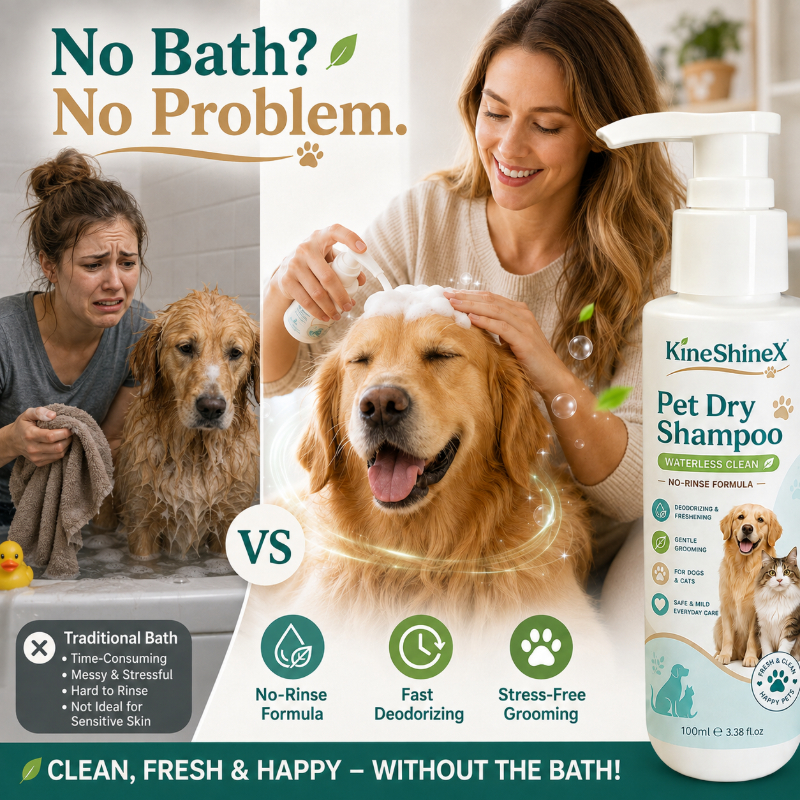 🥳HOT SALE🥳💞 No-rinse, deodorizing & gentle. Fresh pet in minutes – grab yours! ✅